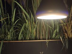 -味界·精致赣菜(招商花园城店)