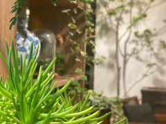 -自由生长植物工作室(深港花卉中心店)