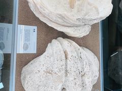 -天津古林古海岸遗迹博物馆