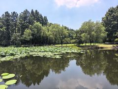 -范蠡湖公园