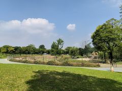 -盘龙城国家考古遗址公园