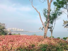 景点-燕儿岛山公园