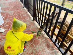 -西霞口神雕山野生动物世界