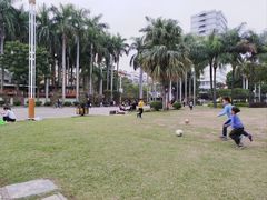 -金砂公园