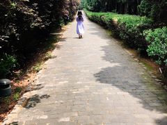 -秦始皇帝陵博物院-丽山园