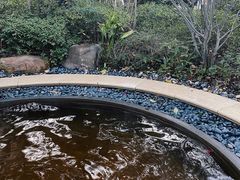-苏州湾·王焰温泉