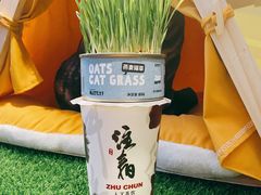 -注春·荞麦奶茶(新天地旗舰店)