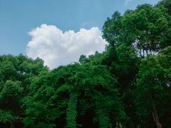 -宁波野生动物园