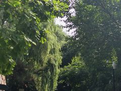 -锦绣公园