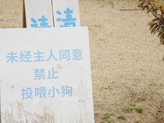 -小意思咖啡店(草桥店)