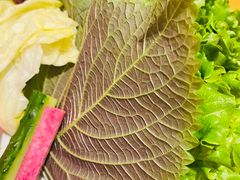 -萨拉伯尔水源素问店·韩国宫廷料理(人民路店)