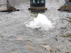 -百脉泉景区