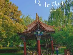 -洛龙公园