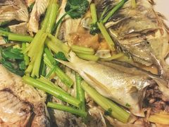 -龙眼南白粥六顺白粥