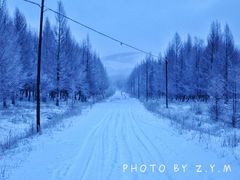 -塞罕坝国家级自然保护区