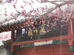 -桃花堤公园