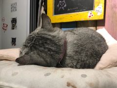 -小时光咖啡馆(开森度假森林店)