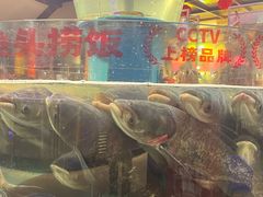 -魏铭鱼头捞饭(晋阳路店)