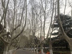 -西安交通大学(雁塔校区)