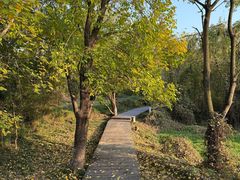 -盘龙城国家考古遗址公园