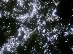 -九曜山