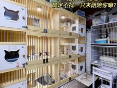 -猫宠乐园·专业洗护