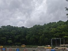 -上海海湾国家森林公园