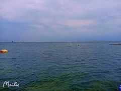 -碧海金沙