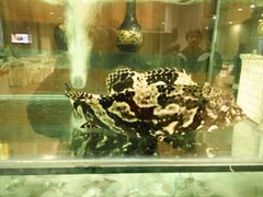 -北海银滩一号国际会议中心酒店