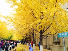 -辽宁大学(崇山校区)