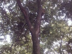 android_upload_pic-府山公园