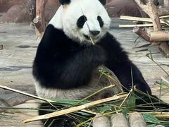 -南宁市动物园