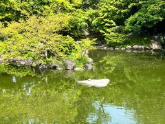 -京都御所