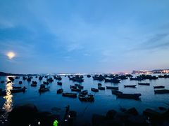 -海源公园