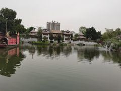 -顺峰山公园