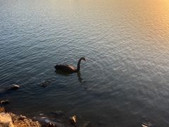 -西山漾湿地公园