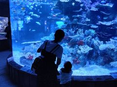 -左海海底世界