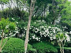 -杭州城北体育公园
