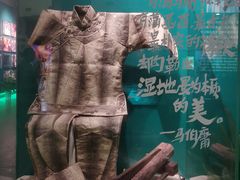 -中国湿地博物馆