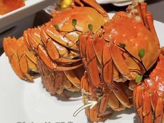 -小厨娘淮扬菜(天印大道店)