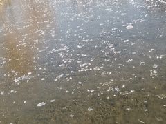 -玛格萝妮(汇智国际商业中心店)