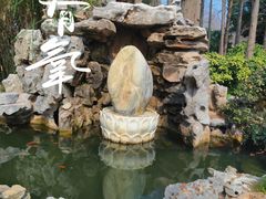 -上海醉白池公园