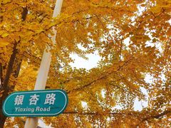 -辽宁大学(崇山校区)