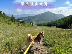 -太舞滑雪小镇