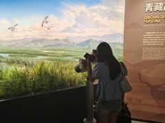 -四川大学博物馆