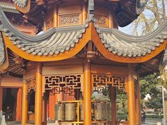 -上海东林寺(金山区)