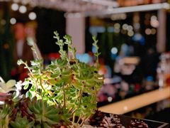 -上海艾本精品酒店