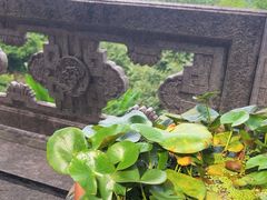 -韬光茶庵