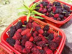 -会稽山峡洞漂流-上青古道