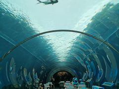 -海棠湾洲际-涛·海底餐厅·美人鱼·自助餐·海底隧道